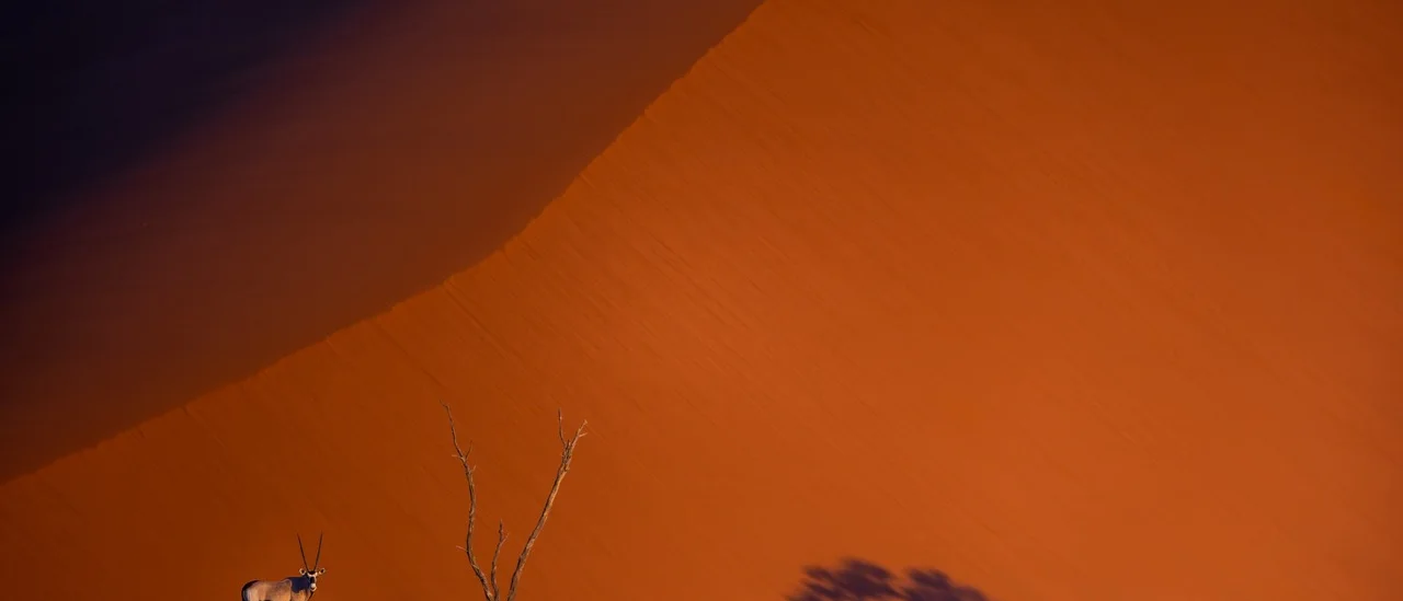 NAMIBIE, exceptionnelle par nature