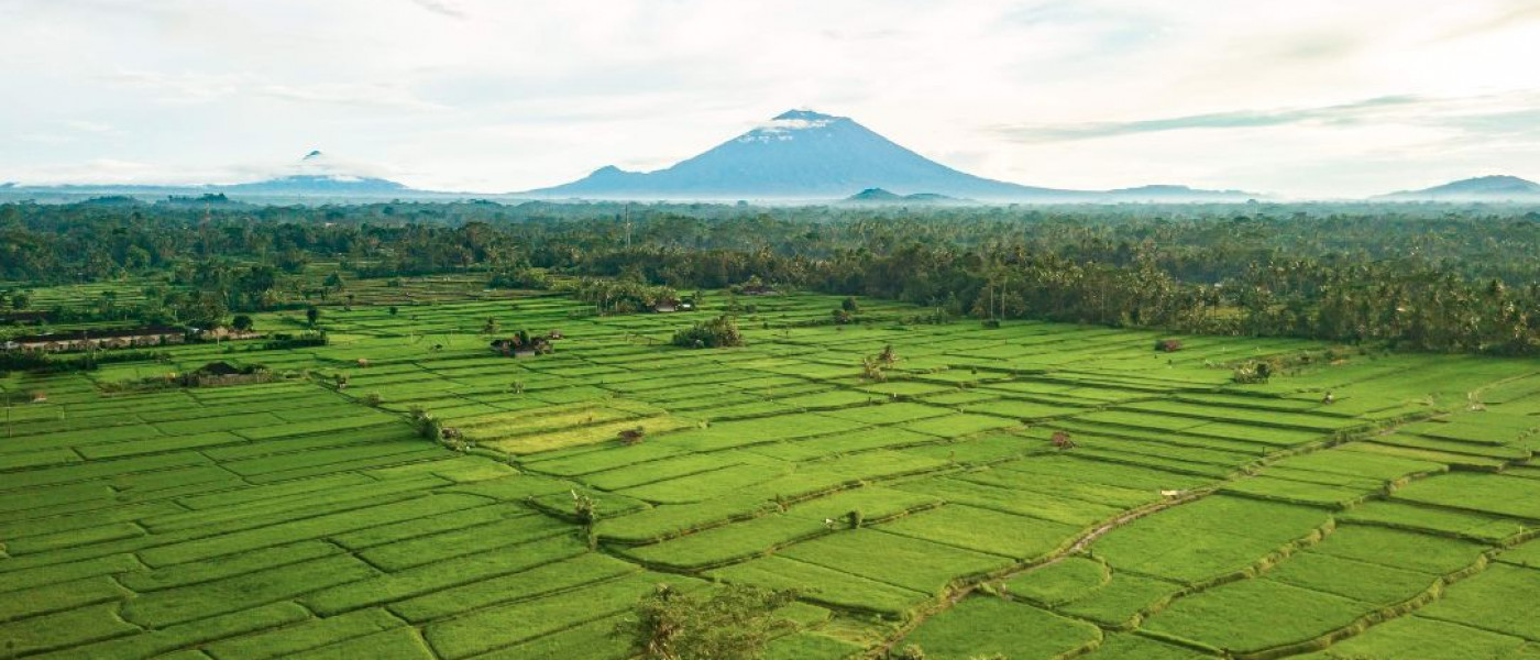 BALI - l'île des dieux